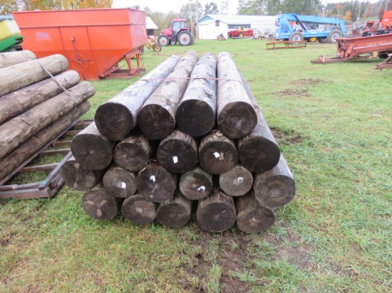PRESSURE TREATED POSTS APPROX 8FT X 9"