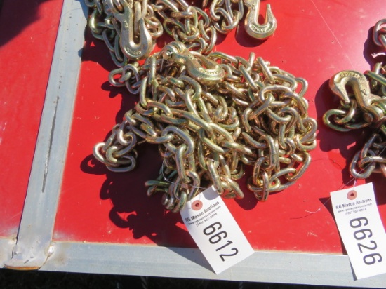 NEW G70 RATED 5/16 DOUBLE HOOK 20FT CHAIN