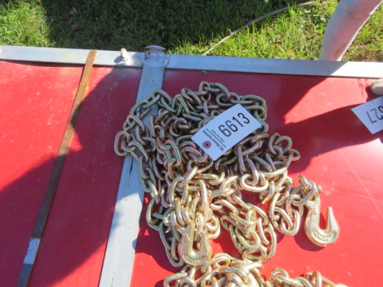 NEW G70 RATED 5/16 DOUBLE HOOK 20FT CHAIN