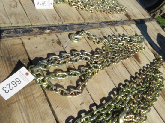 NEW G70 RATED 3/8 DOUBLE HOOK CHAIN 20FT