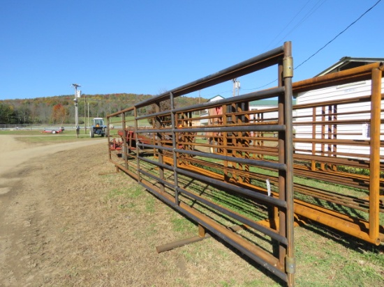 FREESTANDING RAISED CORRAL PANEL WITH 10FT SWING