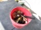 BUCKET OF TOOLS - MICRO GREASE GUN AND GREASE,