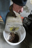 BUGET 1 TON CHAIN FALL