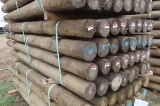 PRESSURE TREATED POST 4-5/8X7 32 TIMES BID AMOUNT