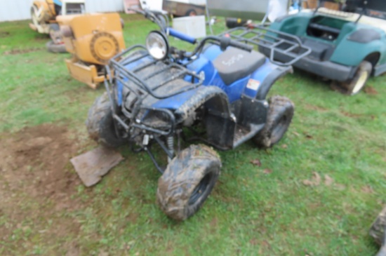 110 TAOTAO KIDS 4 WHEELER HAS BEEN SITTING