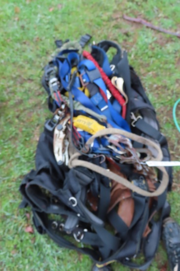 HARNESSES