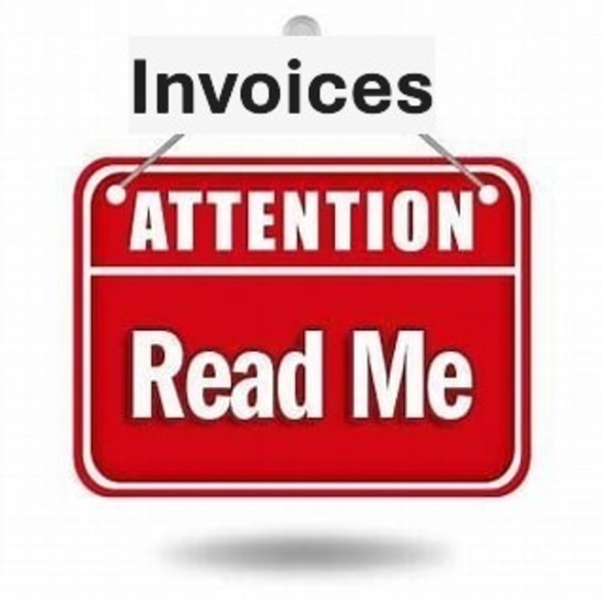 THE AUCTIONEER MAKES ANNOUNCEMENTS AT THE