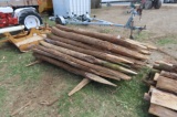 SHARPENED FENCE POSTS 50 TIMES THE BID