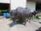 LARGE ALUMINUM STATUE   BUFFALO APPROX 6' T 9' L