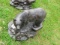 ALUMINUM STATUE         SMALL BEAR APPROX 22