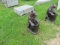 ALUMINUM STATUE      STANDING BEAR SMALL APPROX