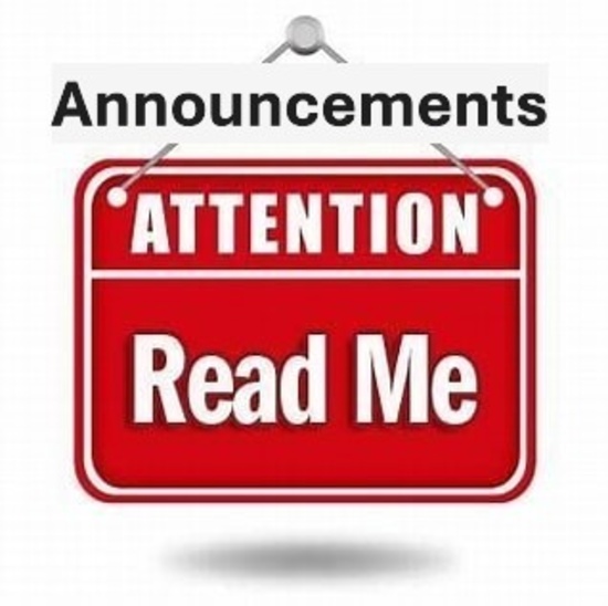 THE AUCTIONEER MAKES ANNOUNCEMENTS AT THE