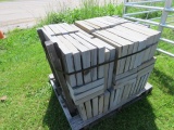 PENNSYLVANIA BLUE STONE LAZER CUT PAVERS