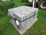 PENNSYLVANIA BLUE STONE LAZER CUT PAVERS