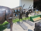 ALUMINUM STATUE          BUCKING BUCK APPROX 62