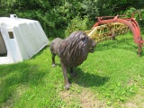 ALUMINUM STATUE         LION APPROX 40'T 59