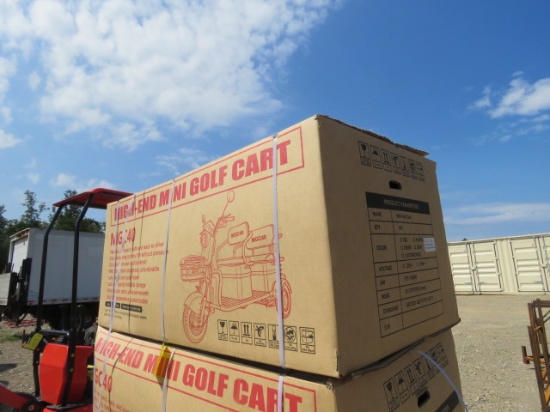 NEW SDLANCH HIGH END MINI GOLF CART RED