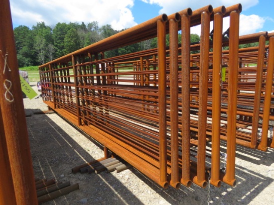 24FT RAISED CATTLE PANEL - THIS IS 6 TIMES THE BID