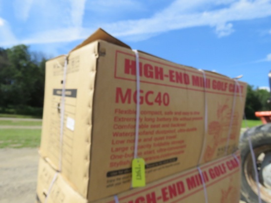 SDLANCH MGC40 HIGH END MINI GOLF CART