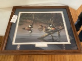 Hooded Mergansers by Mark Anderson  32