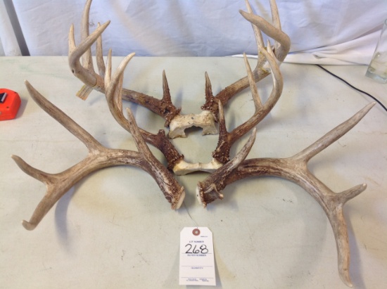 3 sets of deer antlers