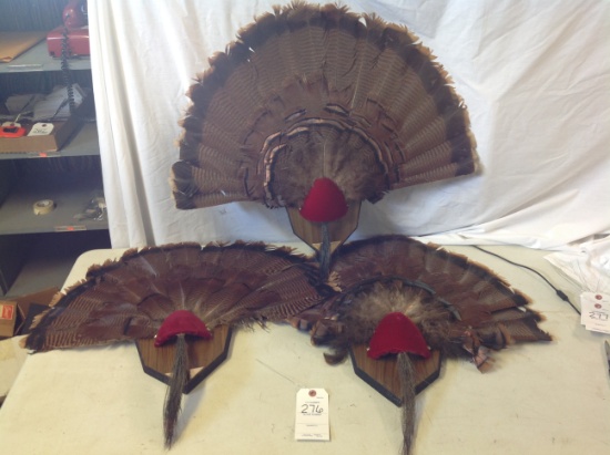3 turkey mounts