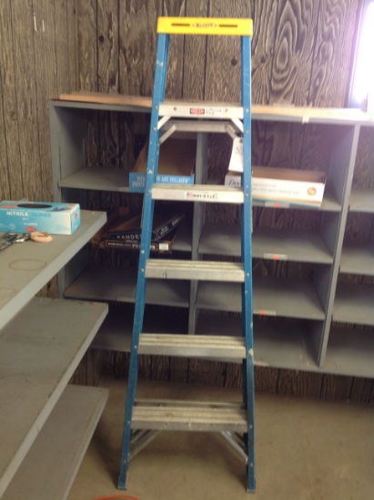 Vermeer 6' ladder