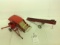 Tru Scale Pull Type Combine and Elevator