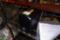 COLLINS VERTICAL GYRO 622-4565-01 (OVERHAULED)