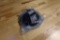 RADAR ALTIMETER ANTENNA 4007637-1 (OVERHAULED)