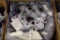 DHC-8 BRAKE ASSY 2-1565 (O/H)