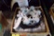 DHC-8 BRAKE ASSY 2-1466-4 (O/H)