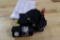 WIPER ASSY XW24894-1 (O/H)