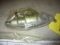 BRAKE TRANSMITTER 8850-004 (A/R)