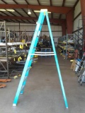 WARNER 8' FIBERGLASS LADDER
