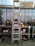 8' FIBERGLASS LADDERS & 1 SMALL STEP LADDER