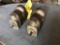 ROBERT BOSCH FU5BR ANTIQUE MAGNETO CORES