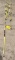 (LOT) BELL 206 PUSH-PULL RODS