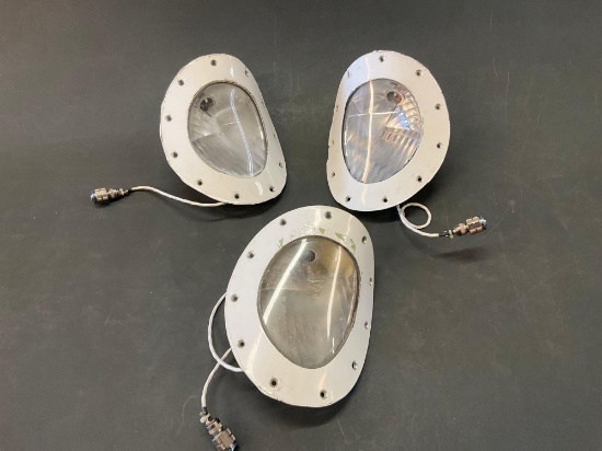 (3) LSI TAXI/LANDING LIGHTS 81012-3 & -4 (A/R)