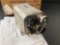 HONEYWELL RT1411C/APN-209A(V) RADAR RECEIVER TRANSMITTER HG7210CA01 (CONDITION UNKNOWN, HAS COFC)