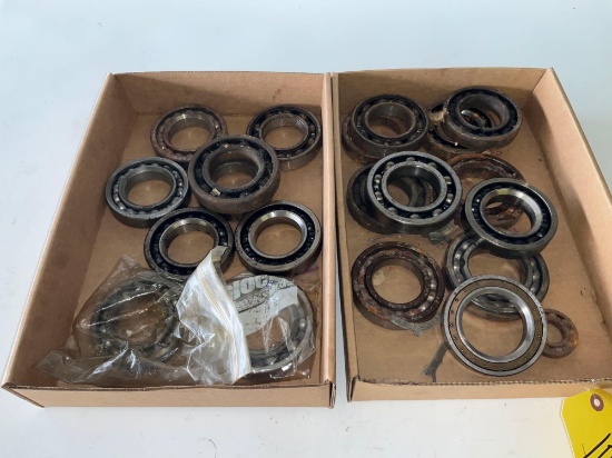 BOXES OF SCARAB NOSE & MISC. BEARINGS