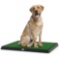 Artificial Grass Bathroom Mat for Puppies and Small Pets- Portable Potty Trainer for Indoor and Outd
