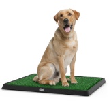 Artificial Grass Bathroom Mat for Puppies and Small Pets- Portable Potty Trainer for Indoor and Outd