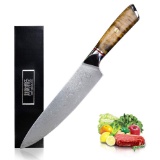 Professional Chef's Knife -gyuto Japanese Aus10 (vg10) Damascus 67-layers Steel Hammered Steal