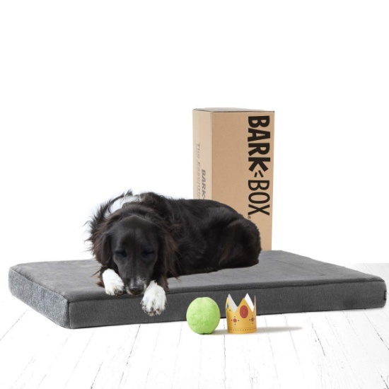 BarkBox Memory Foam Platform Dog Bed