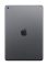 Apple - iPad Wi-Fi - 32GB - Space Gray