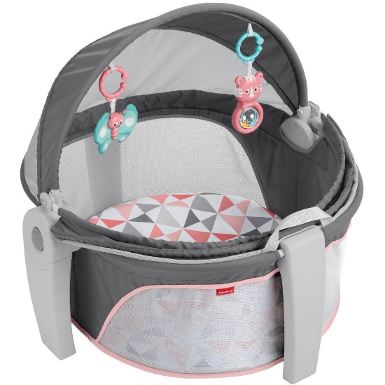 Fisher-Price On-the-Go Baby Dome, Rosy Windmill