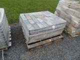 4.5x9 paver