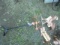 Rooster Weathervane