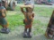 Indian Wooden Statue